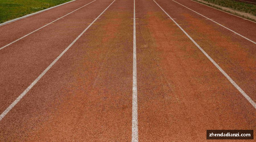 三亿体育有限公司🎯 精准直播，互动不停！💬